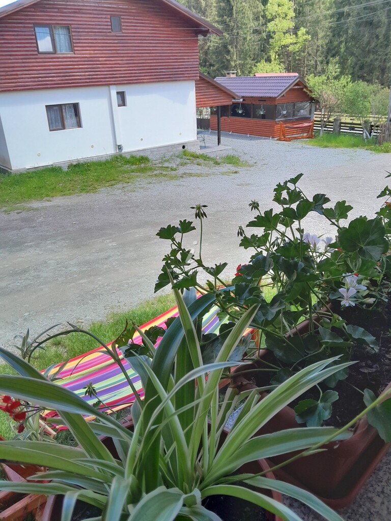 Cabana Bunicilor
