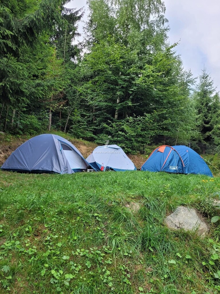 Pensiunea Camping Livia