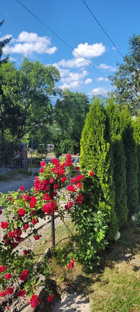Pensiunea Camping Livia