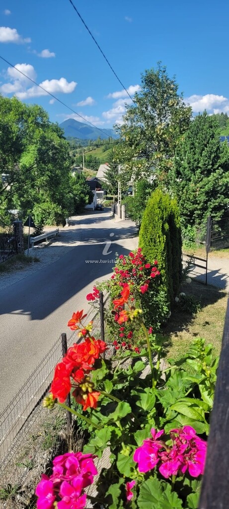 Pensiunea Camping Livia