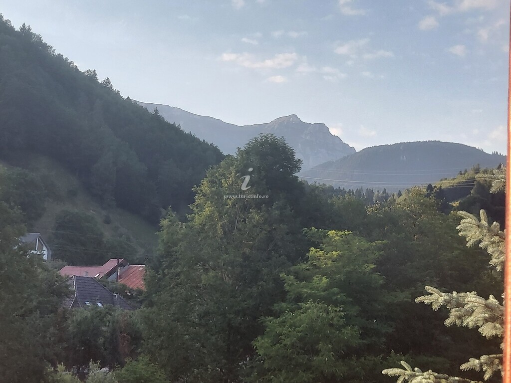 Cabana Braduțul de la munte