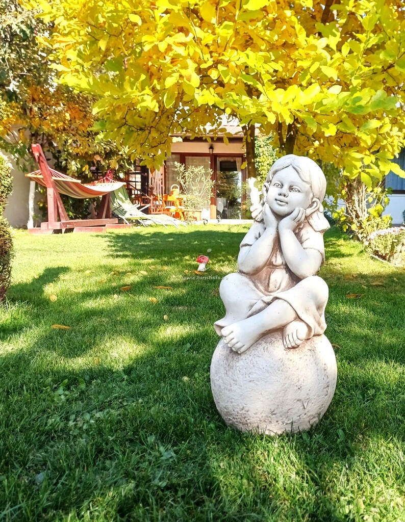 Casa Narciselor