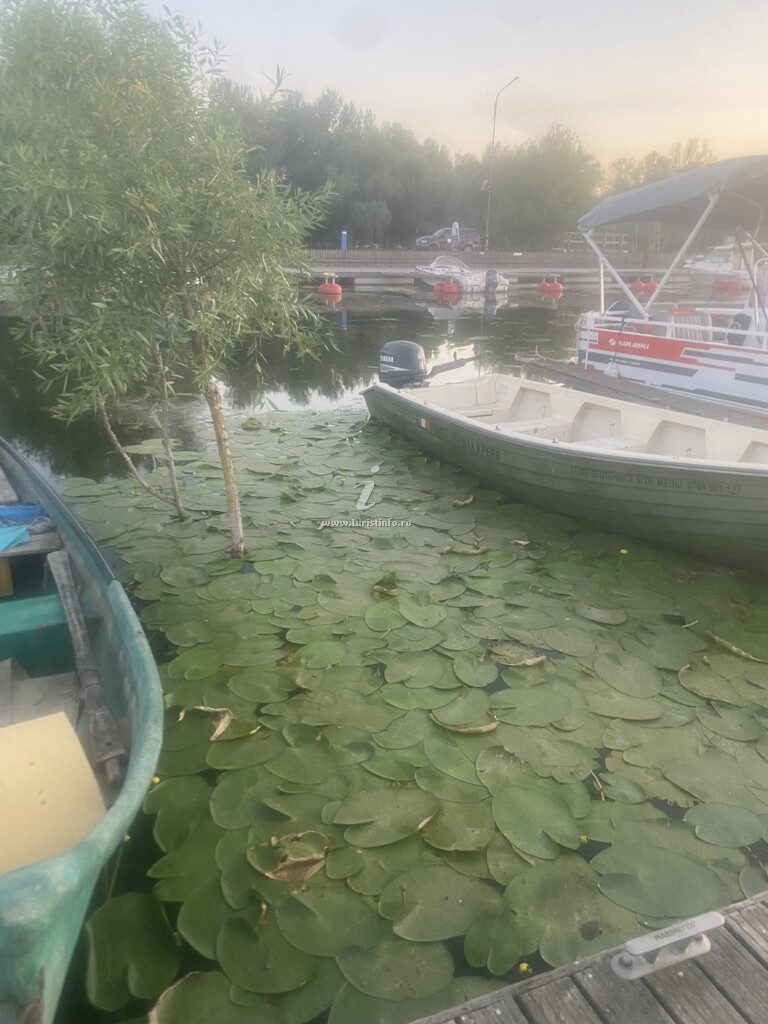 Casa de vacanță Tănase