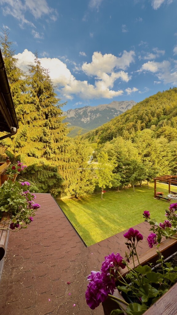 Casa Bucuriei