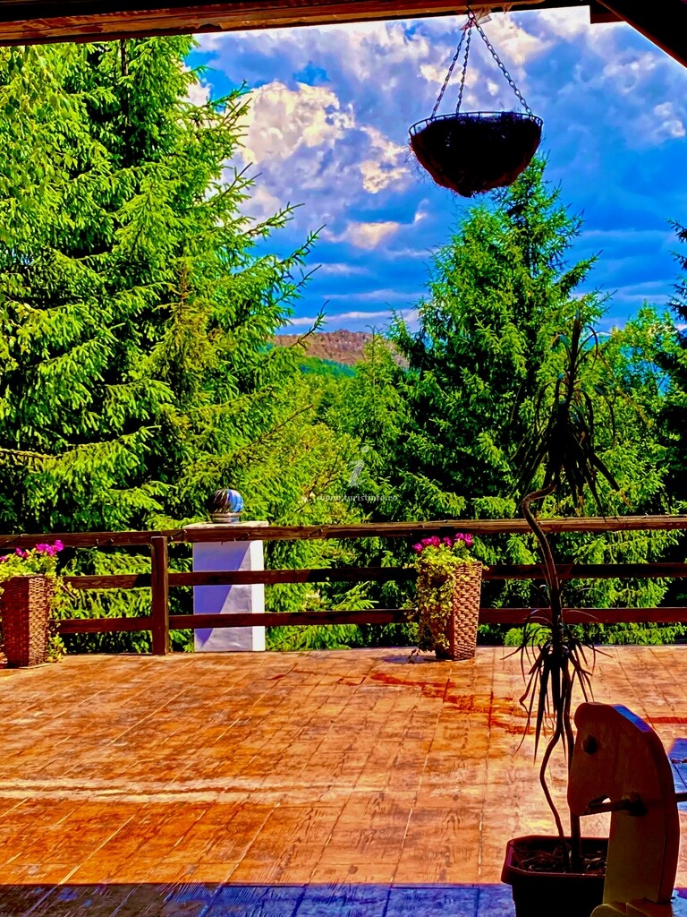 Camere de închiriat Casa Dintre Brazi