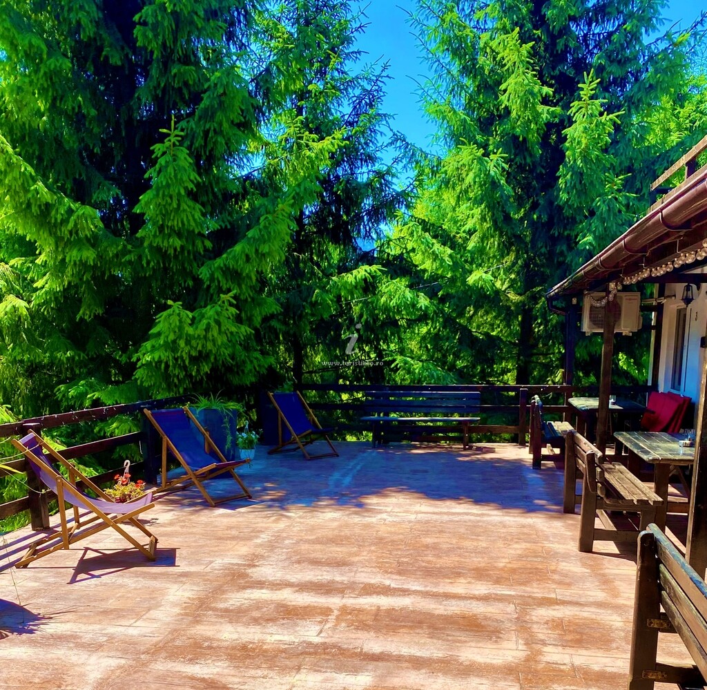 Camere de închiriat Casa Dintre Brazi