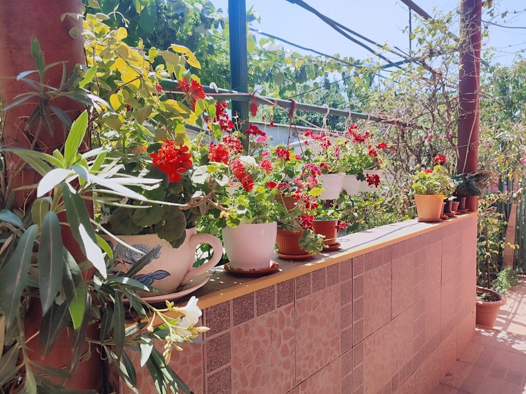 Vila Mihai A.