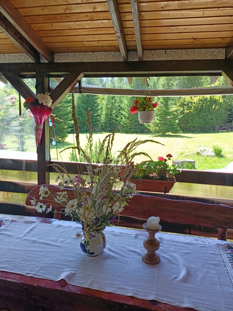 Casa de vacanță Cecilia