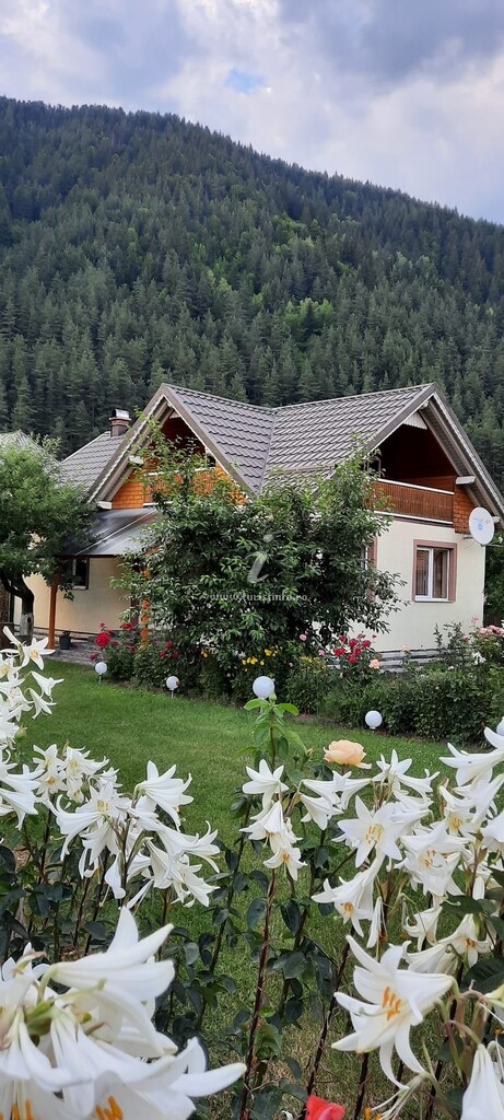 Casa Raluca