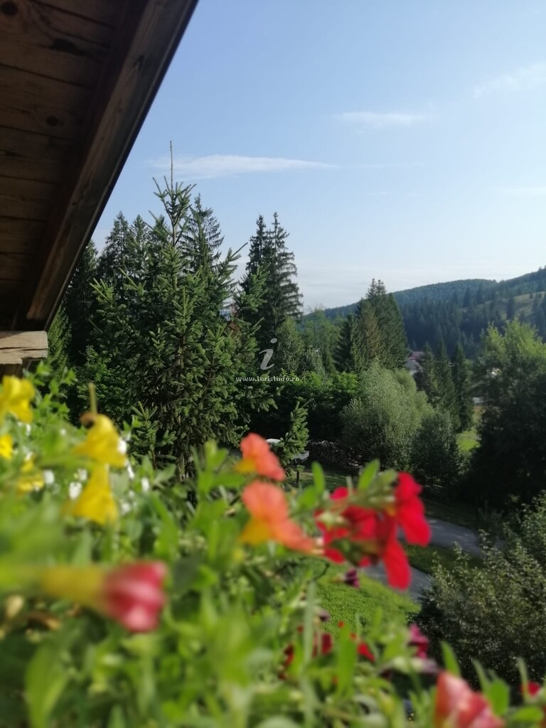 Pensiunea Casa Verde