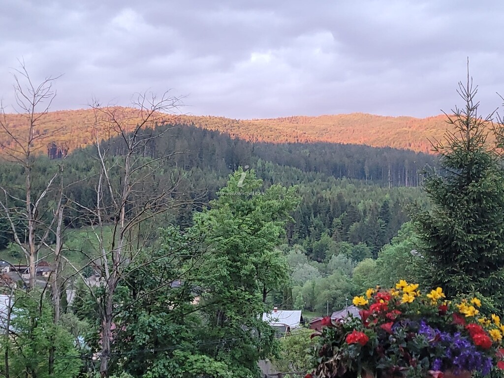Pensiunea Casa Verde
