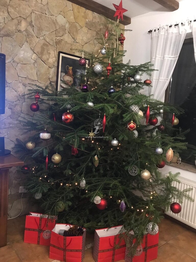 Pensiunea Casa Verde