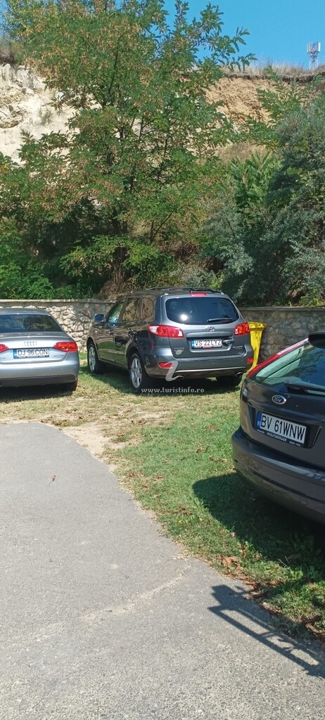 Casa Voicu