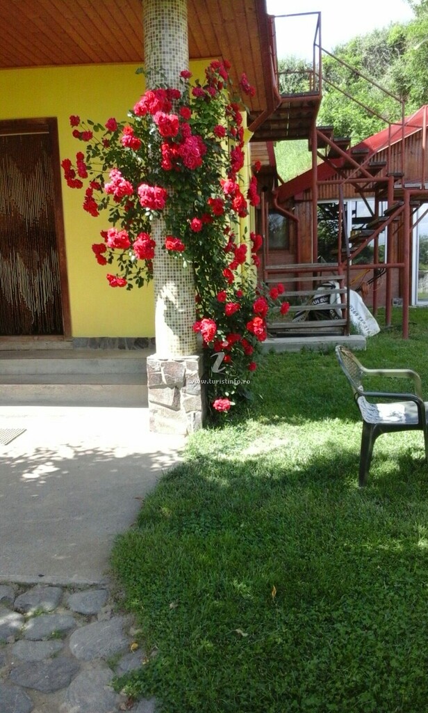 Casa Voicu