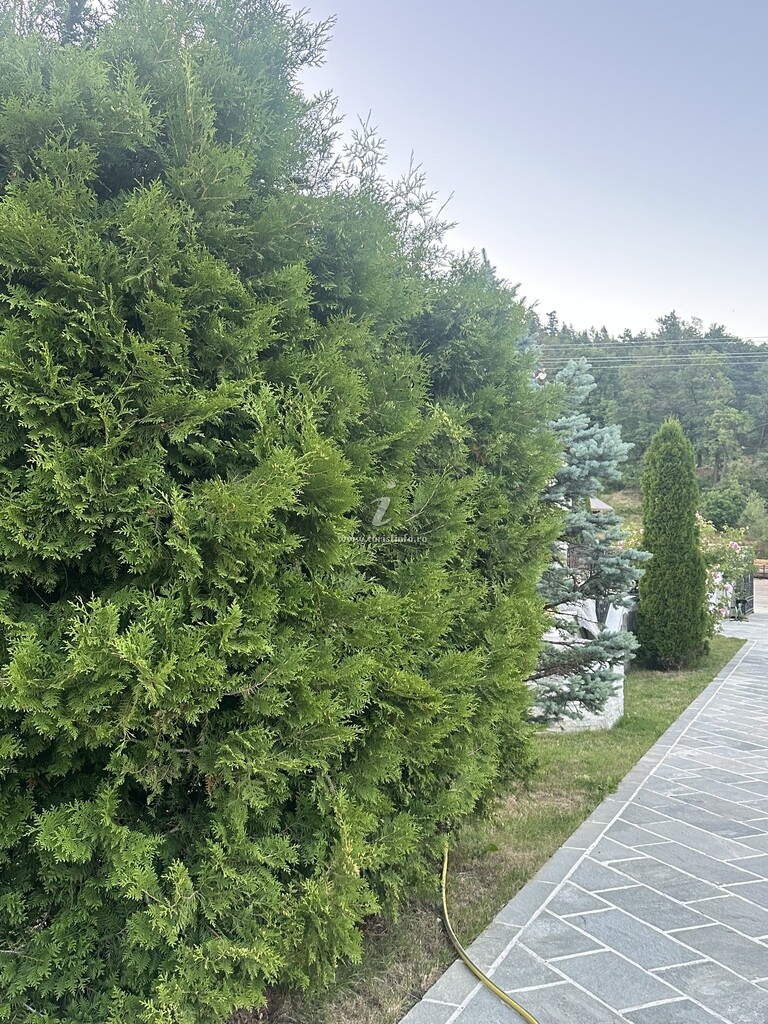 Casa de vacanță Adi
