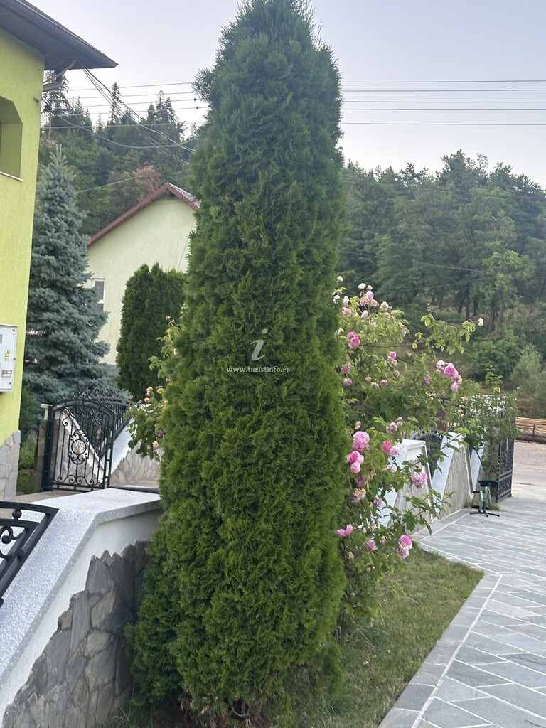 Casa de vacanță Adi