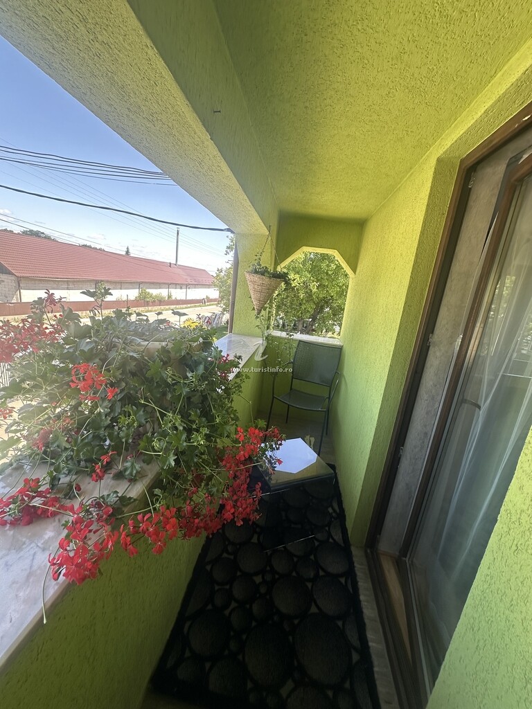 Casa de vacanță Adi