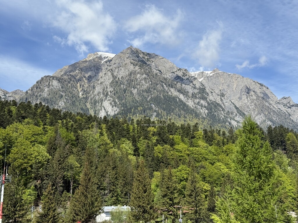 Camere de închiriat Alpin Vista
