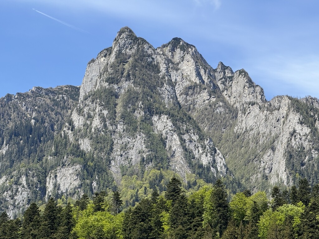 Camere de închiriat Alpin Vista