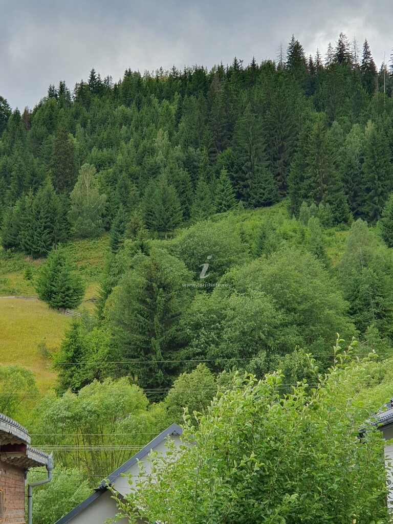 Camere de închiriat La Rozica