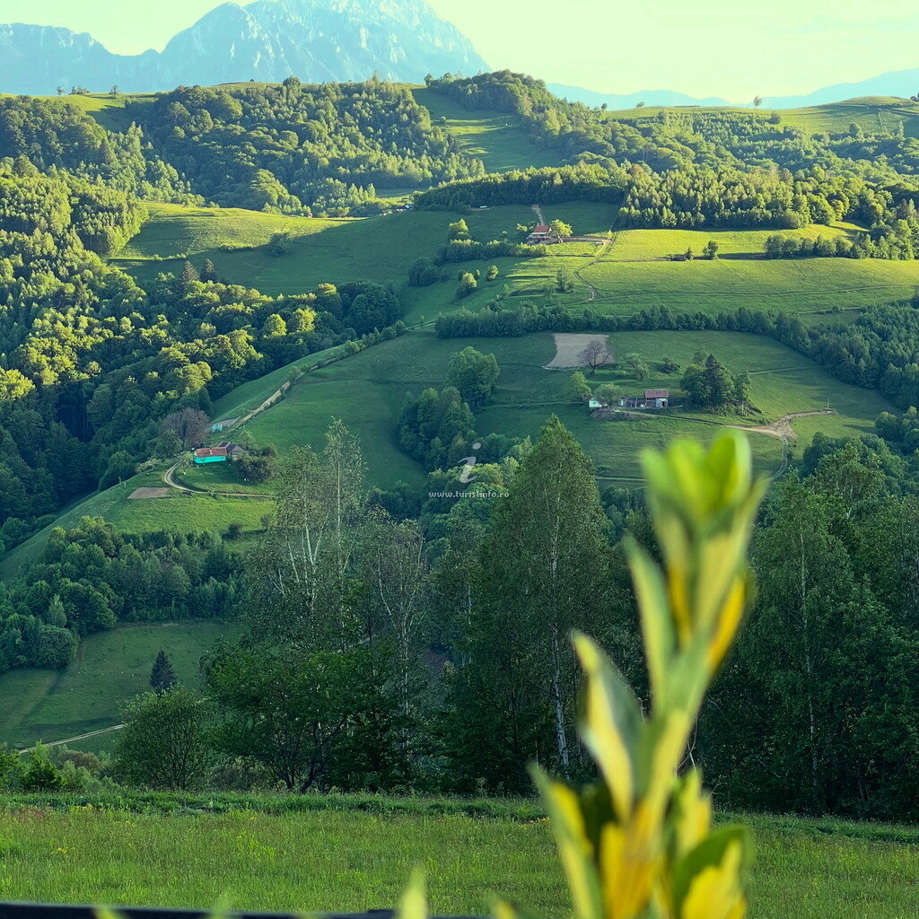 Sub stele Chalets