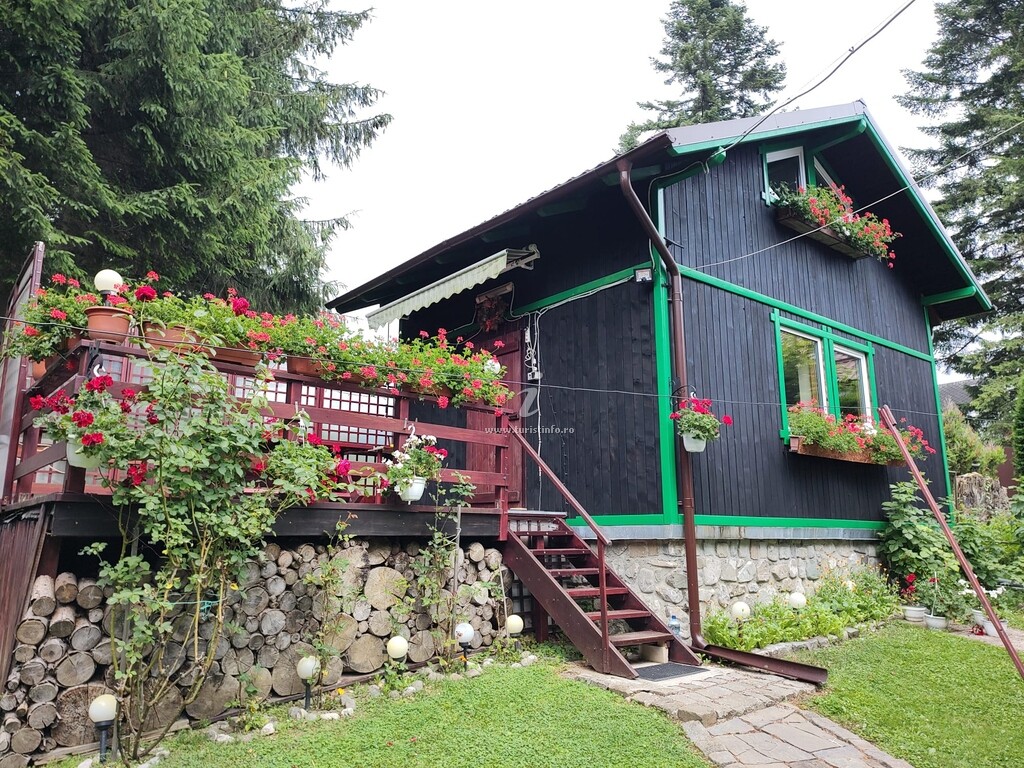 Camere de închiriat Casa Riciu