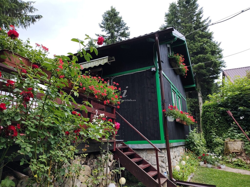Camere de închiriat Casa Riciu
