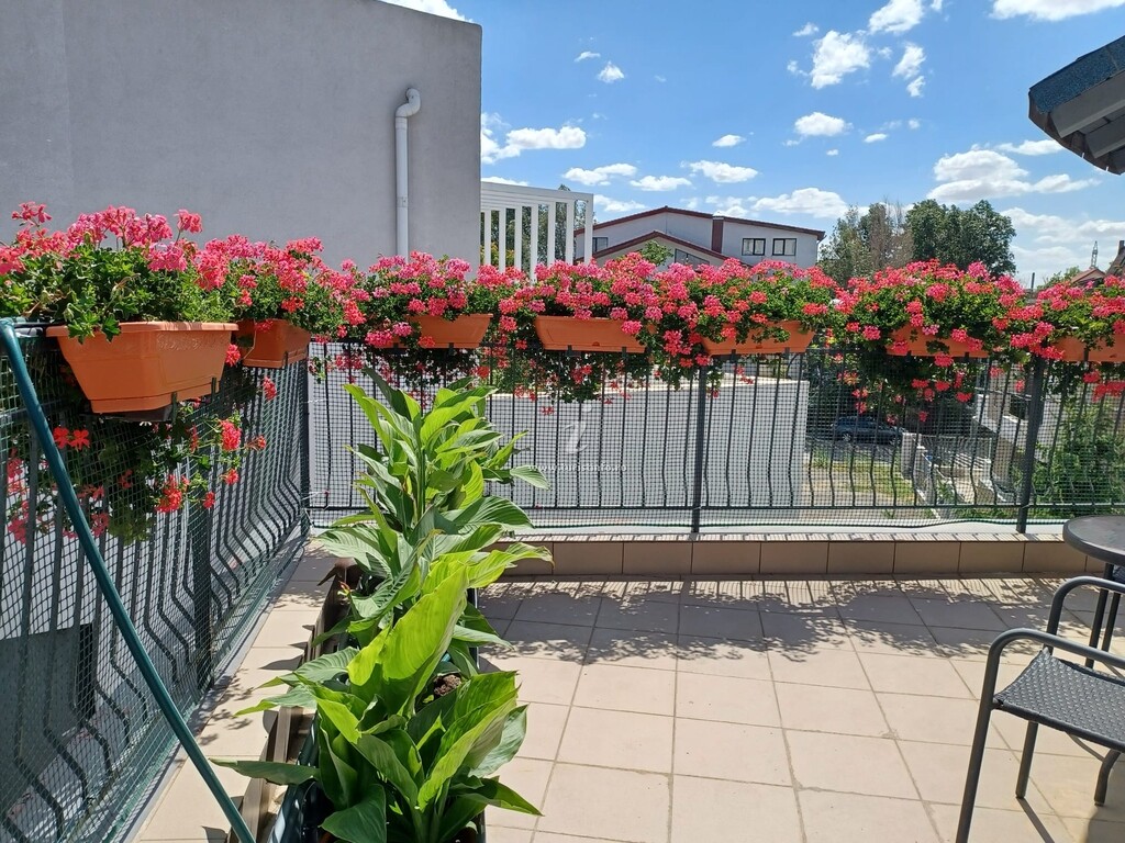 Vila Ava