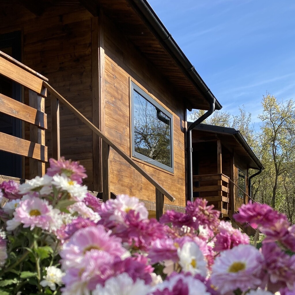 Bungalouri Olănești