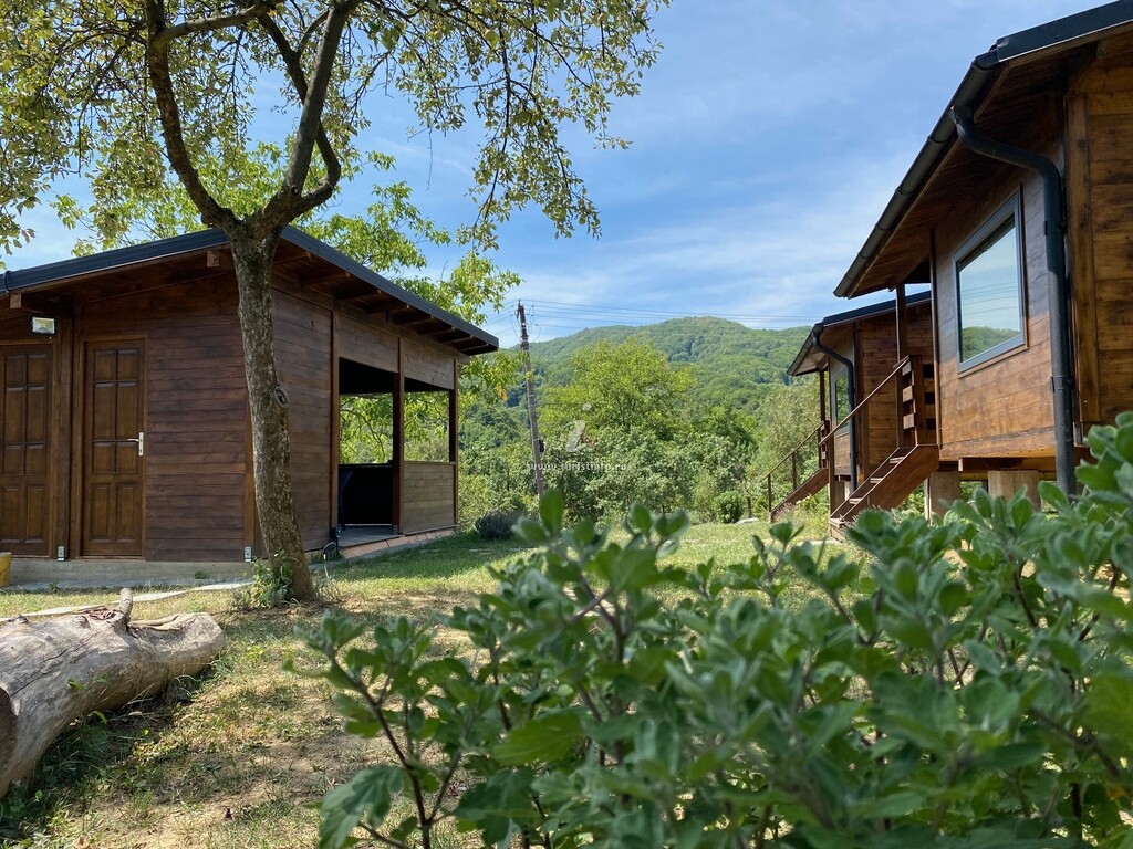 Bungalouri Olănești