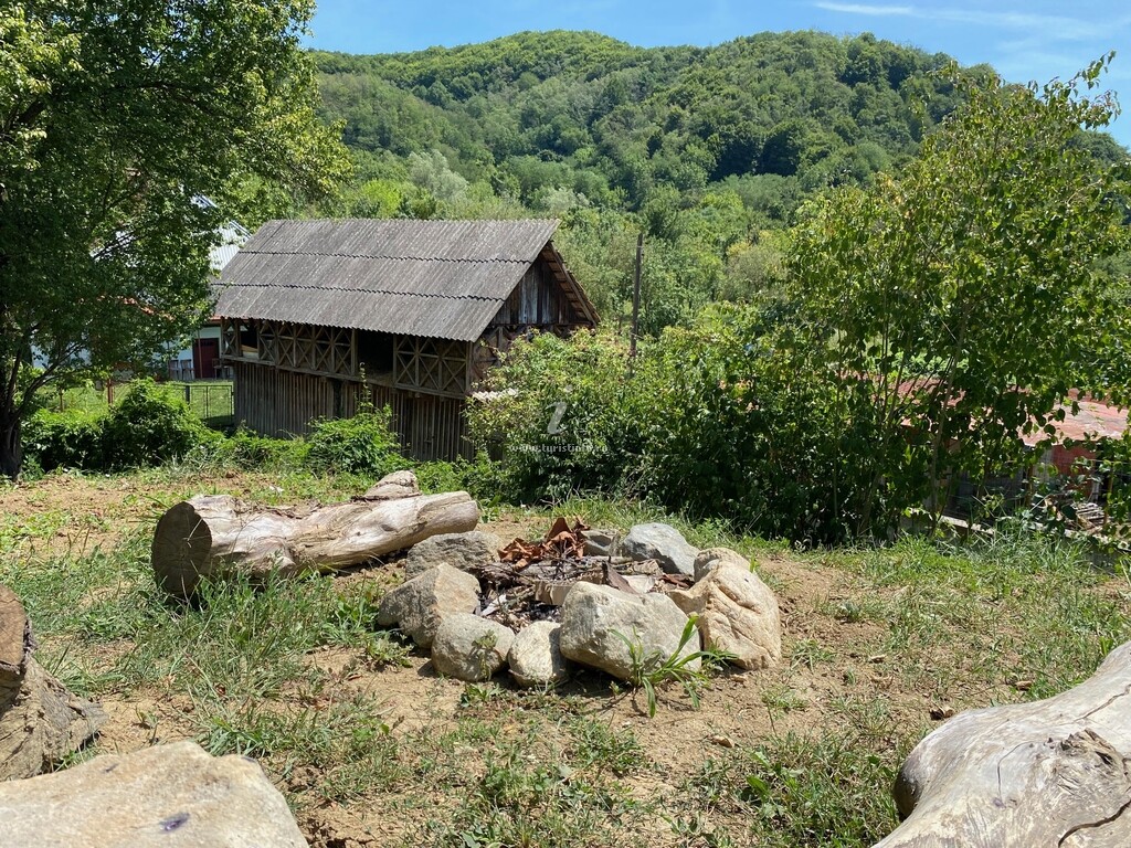 Bungalouri Olănești