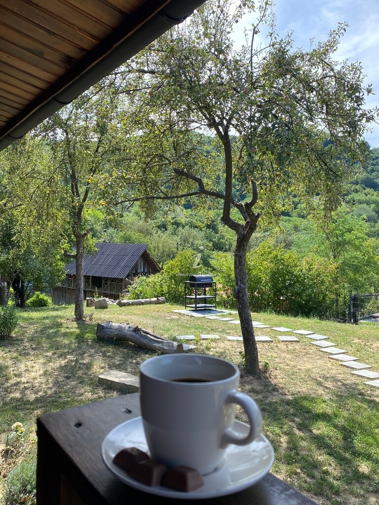 Bungalouri Olănești
