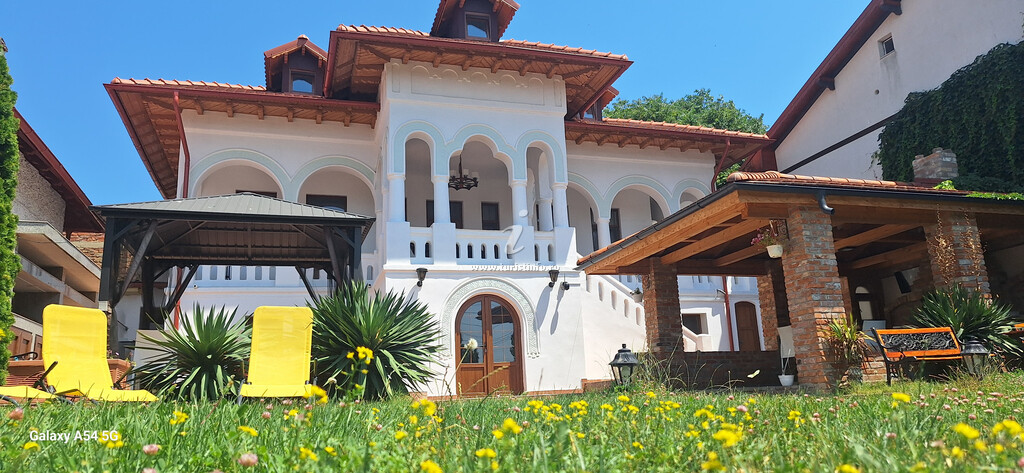 Conacul Bistreanu