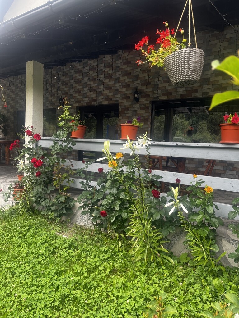 Pensiunea Aaron`s Home