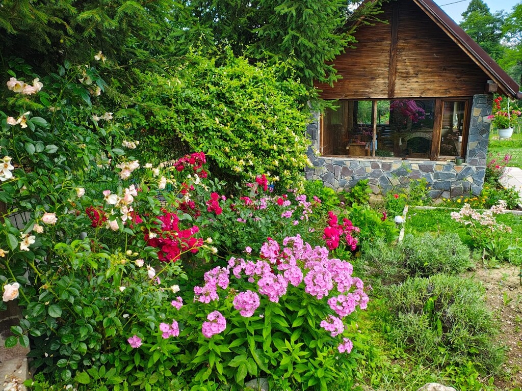Casa Sofia și Ștefan