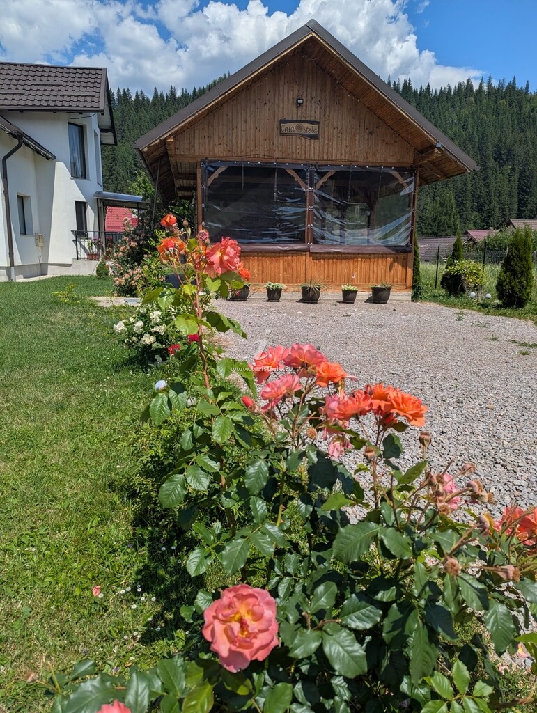 Casa Stela