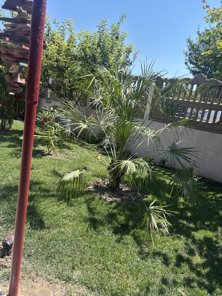 Casa SunRize