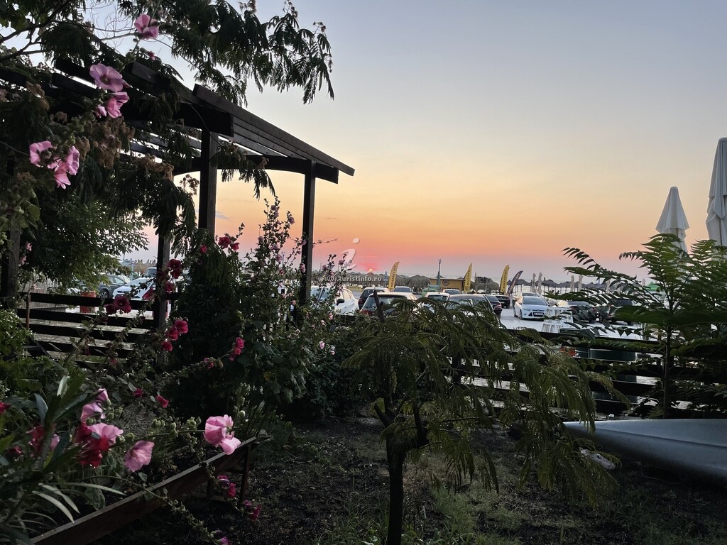 Vila Arborada
