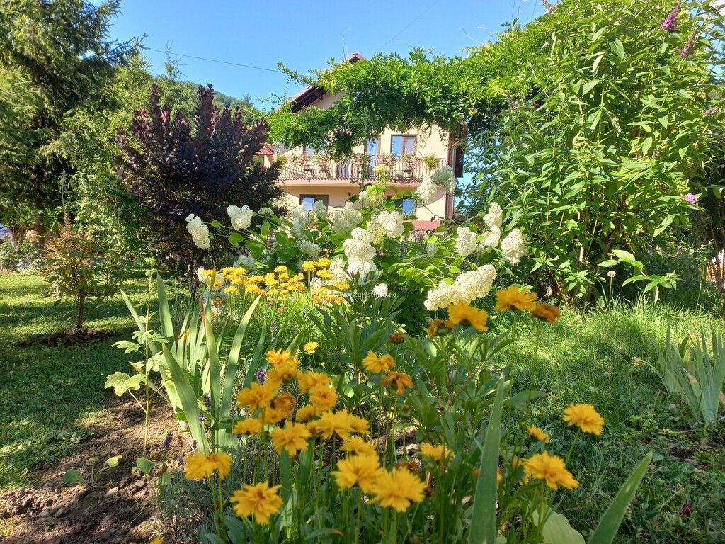 Vila Mădălina