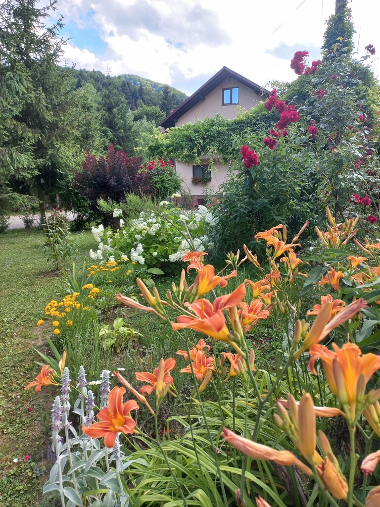 Vila Mădălina