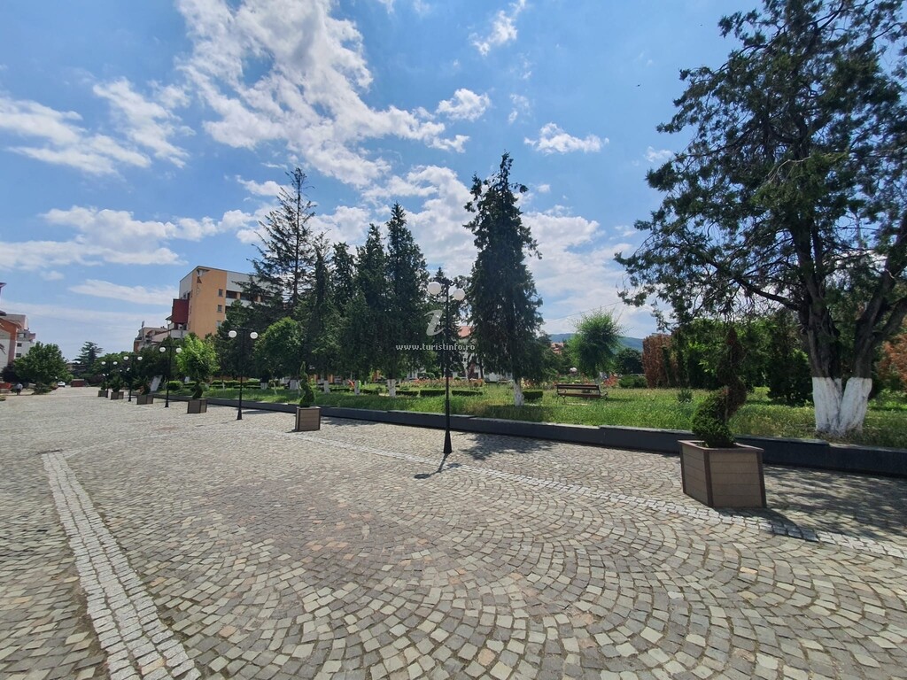 Camere de închiriat Vivaldi