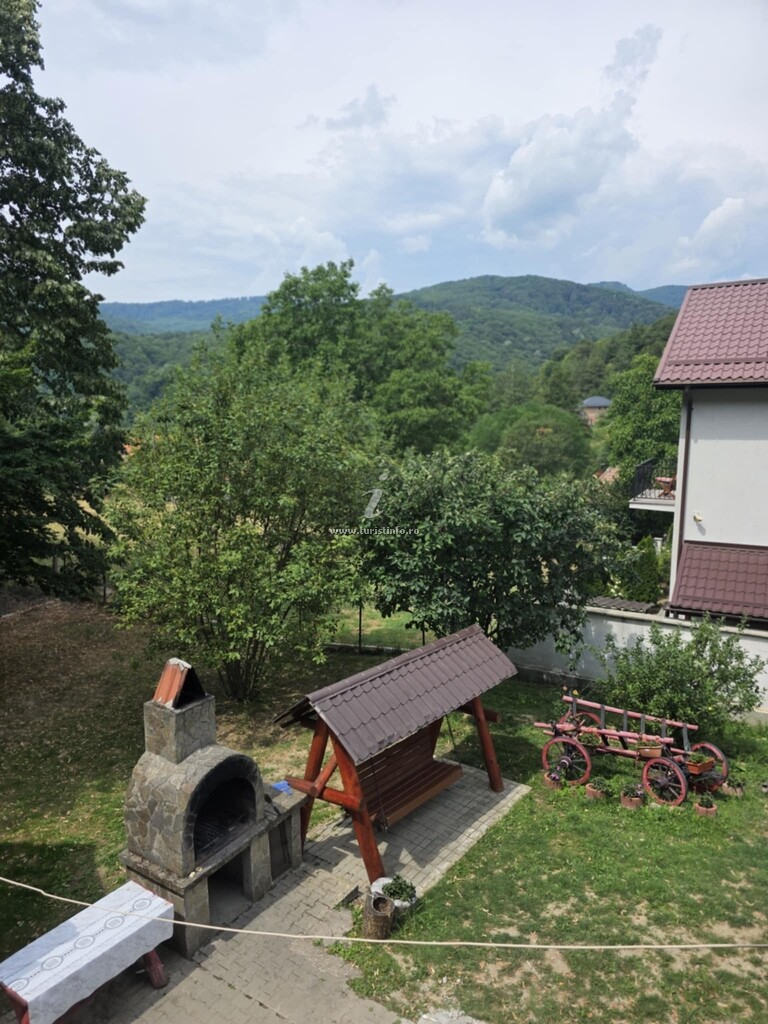 Vila Ursu