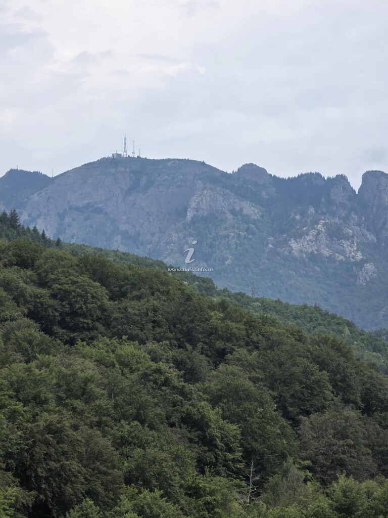 Vila Ursu