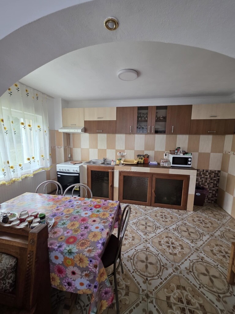 Vila Ursu