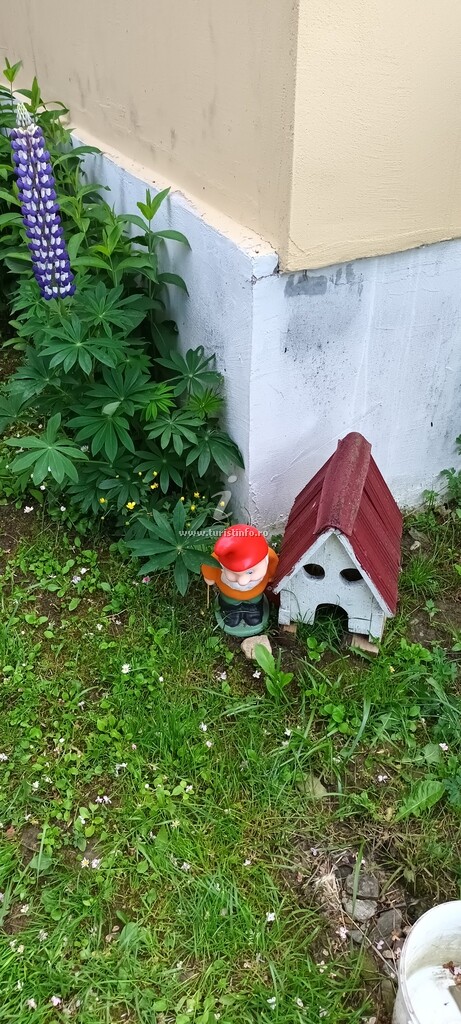 Casa Lola