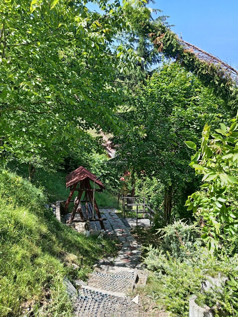 Casa Colțea