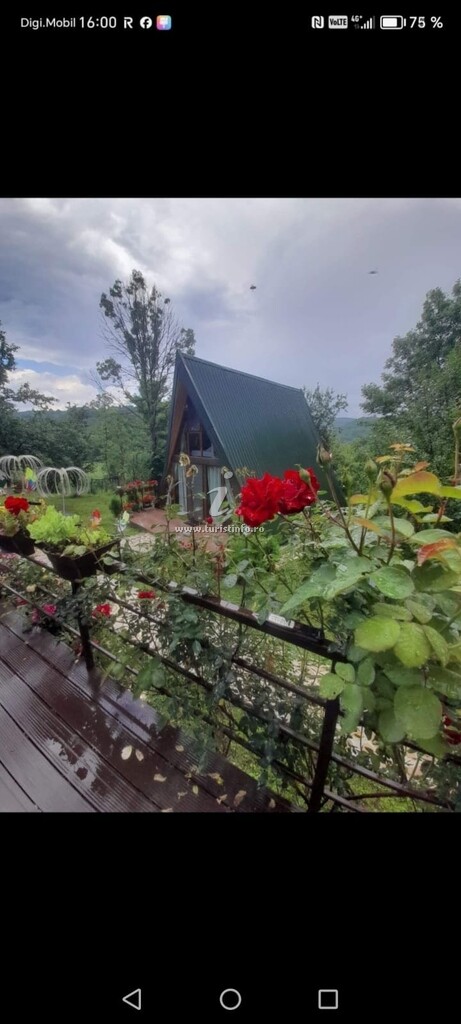 A-frame Poienița Lupului