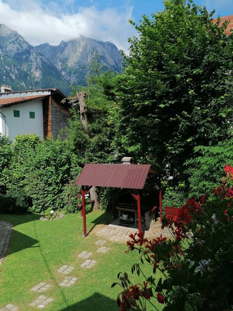 Camere de închiriat Casa Riciu