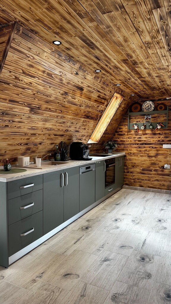 A-frame Ema House