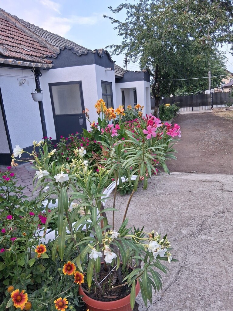Casa Anne
